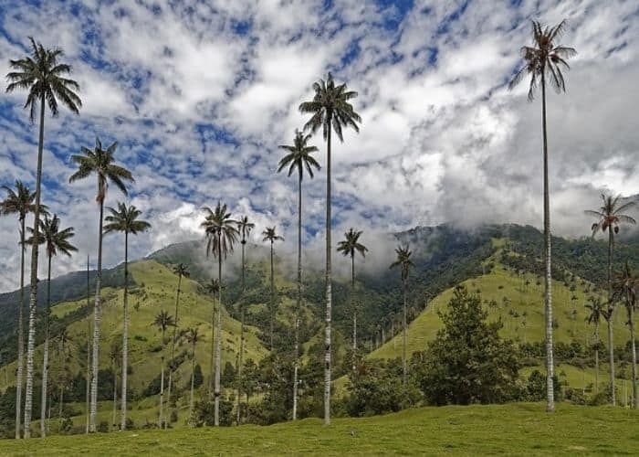 colombian tourist visa extension