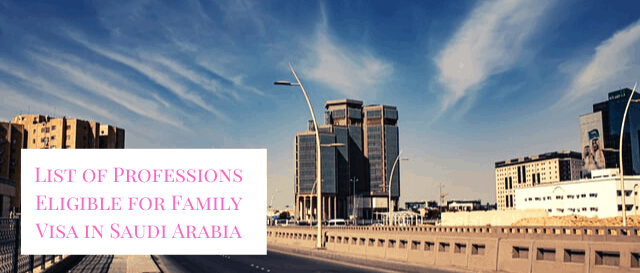 saudi arabia visit visa profession list