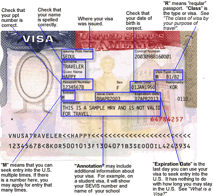 How to apply us visa: What Does a US Visa look like